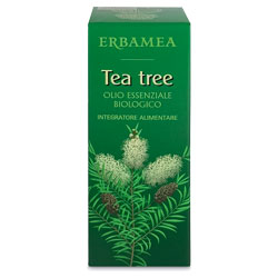 tea tree olio essenziale per le prime vie respiratorie